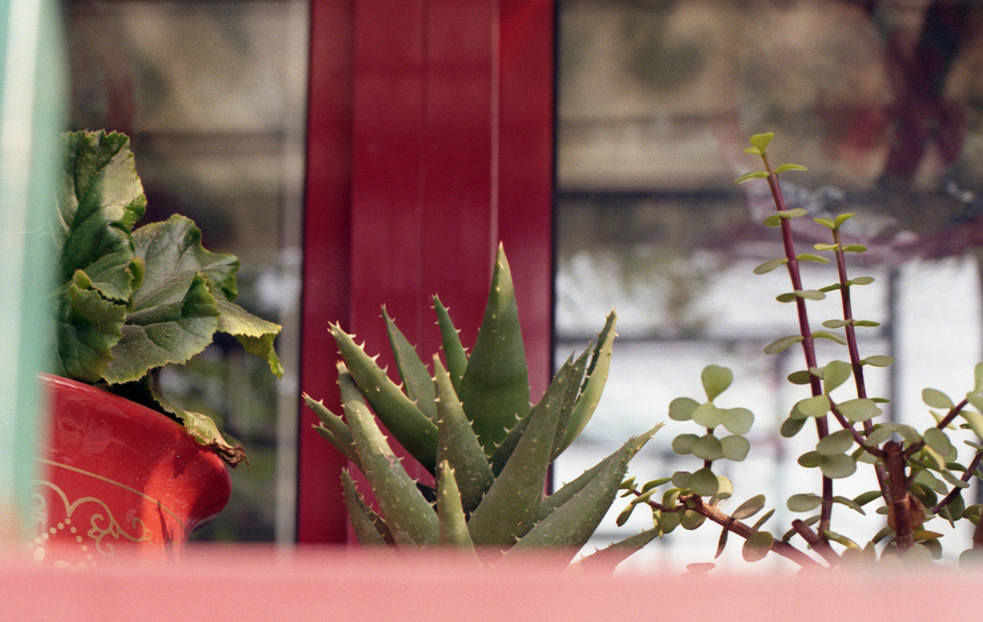 Fig.10 Kodak ColorPlus 200