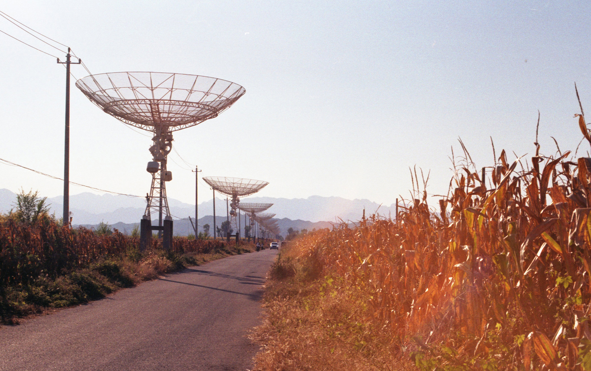 Fig.5 Kodak ColorPlus 200