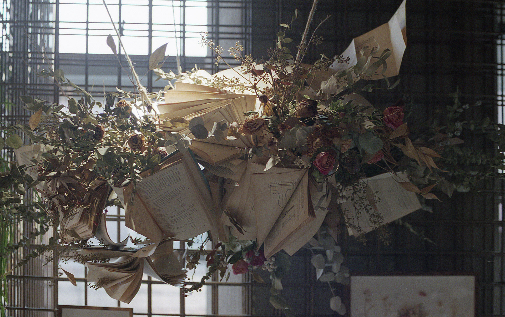 FUJICOLOR 100 （Japan Only）