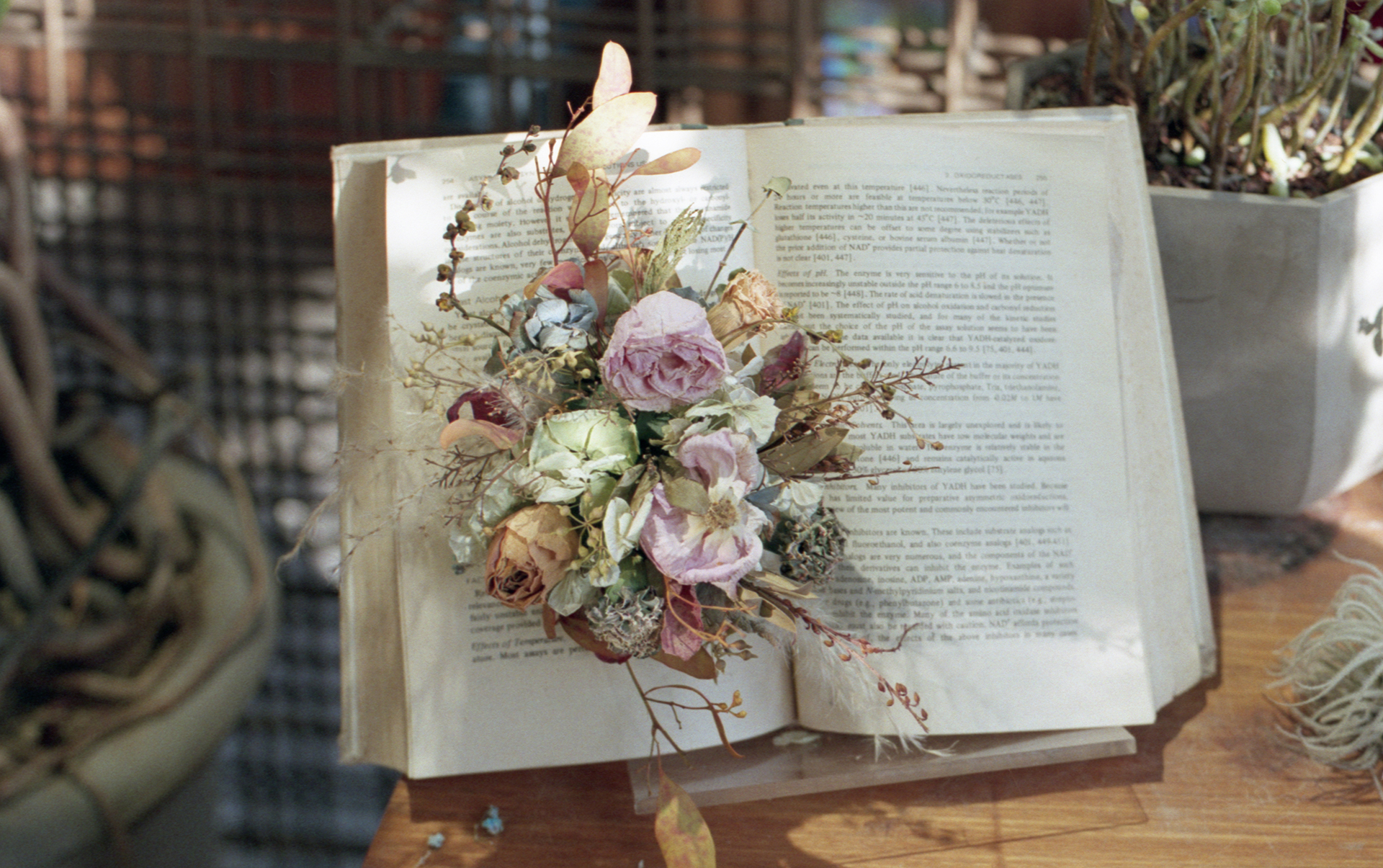 FUJICOLOR 100 （Japan Only）